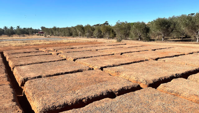 pad-slab-preparation-concrete-pour-building-construction-ultra-excavations-north-adelaide-barossa-gawler_gallery_006